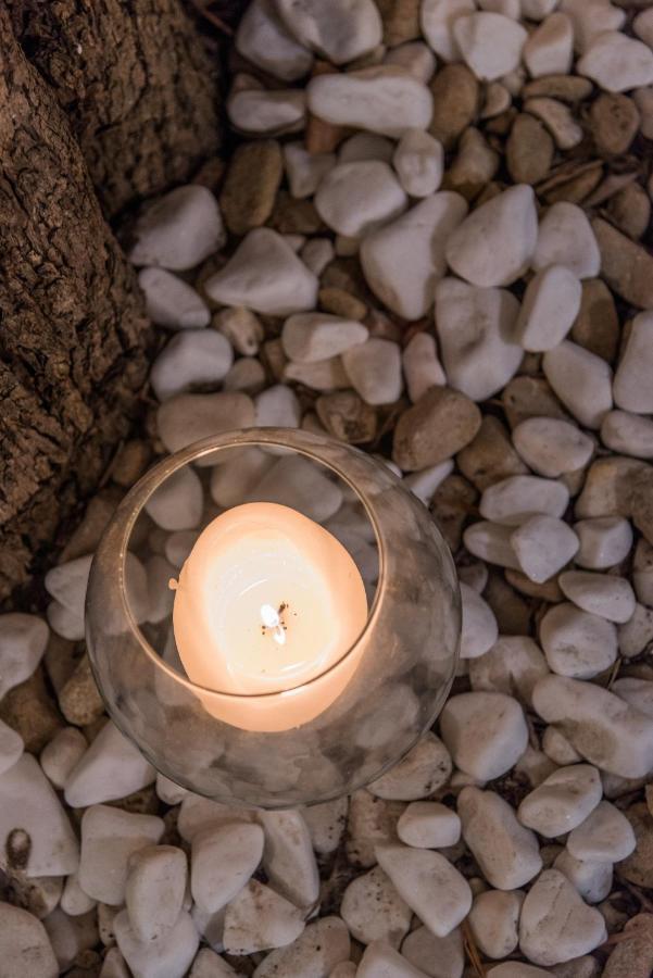Eleonas Annex Apartments カボス エクステリア 写真